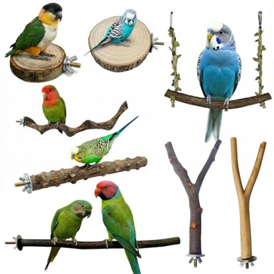 8PCS natural wood bird perches - Health & Wellness Gordon Edlin recension och pris