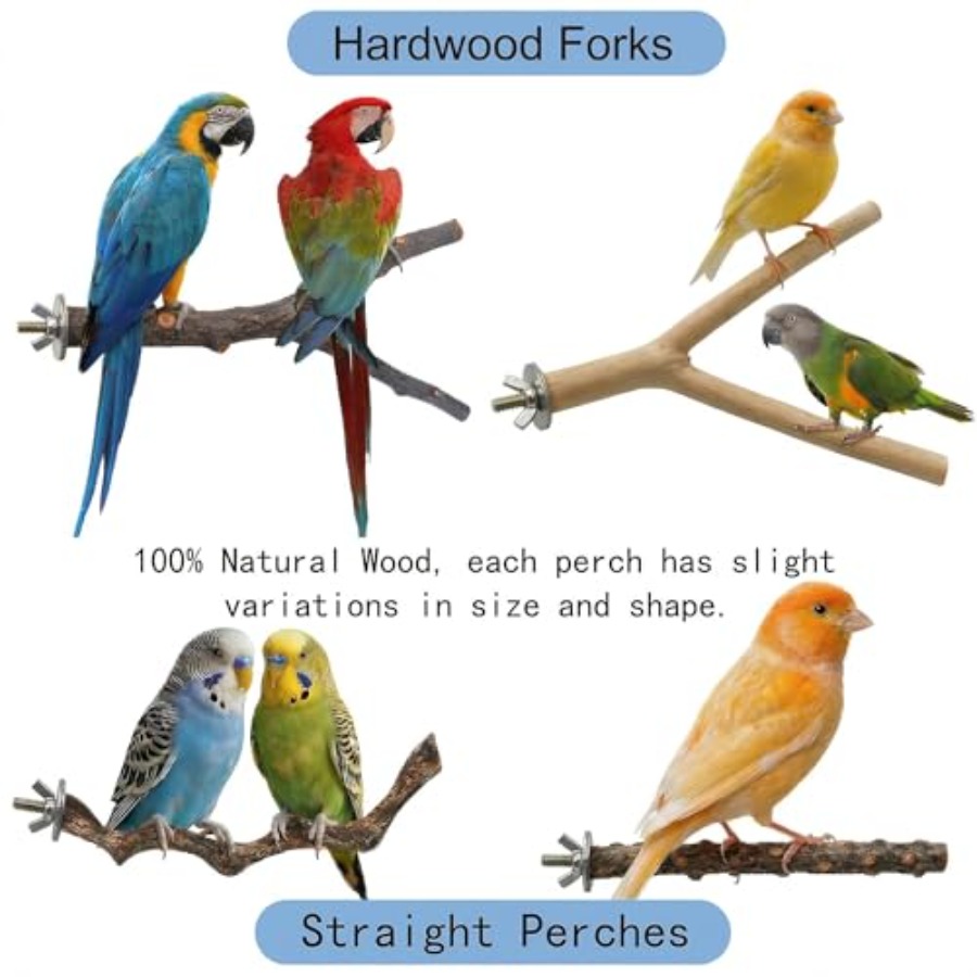 8PCS natural wood bird perches - Health & Wellness Gordon Edlin recension och pris